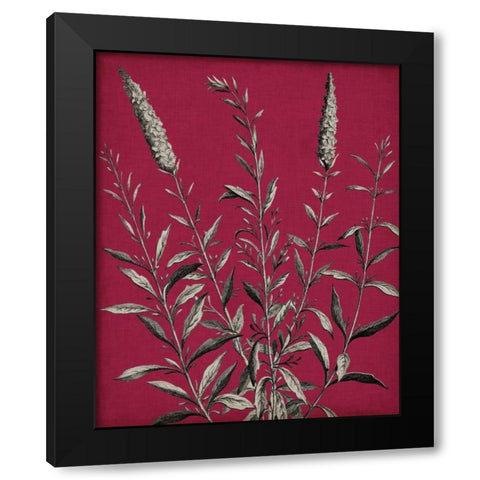 Vivid Chintz V Black Modern Wood Framed Art Print with Double Matting by Vision Studio