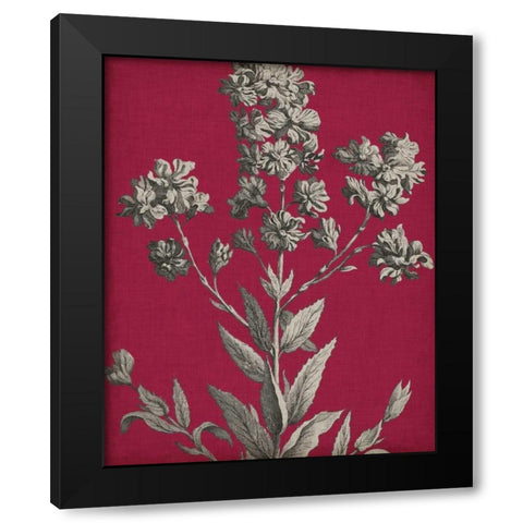 Vivid Chintz VI Black Modern Wood Framed Art Print with Double Matting by Vision Studio