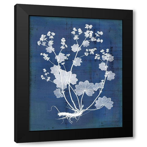 Natures Imprint I Black Modern Wood Framed Art Print with Double Matting by Vision Studio