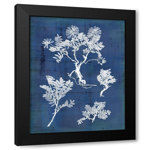 Natures Imprint II Black Modern Wood Framed Art Print with Double Matting by Vision Studio