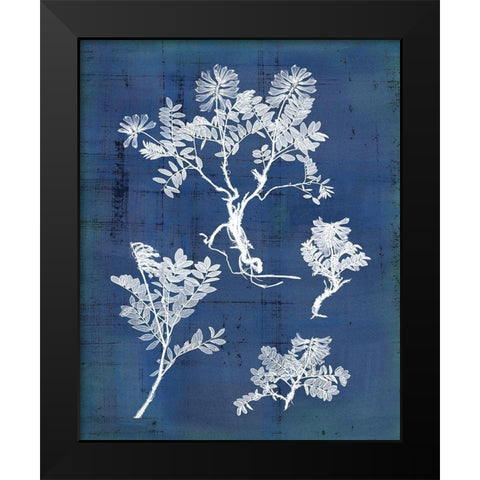 Natures Imprint II Black Modern Wood Framed Art Print by Vision Studio
