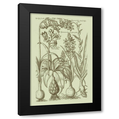 Garden of Flora I Black Modern Wood Framed Art Print with Double Matting by Vision Studio