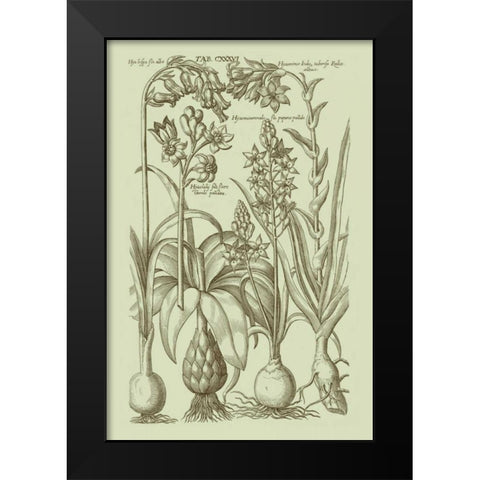 Garden of Flora I Black Modern Wood Framed Art Print by Vision Studio