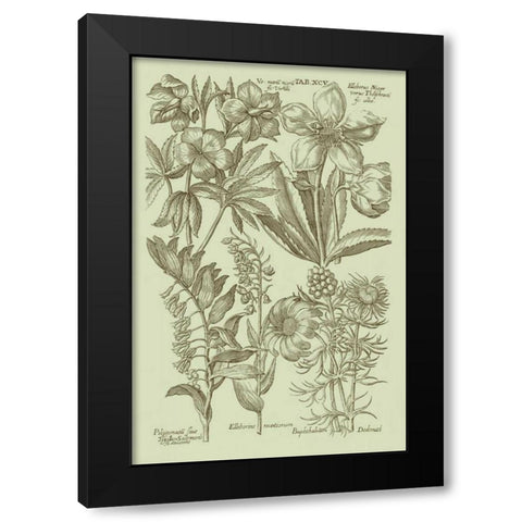 Garden of Flora III Black Modern Wood Framed Art Print with Double Matting by Vision Studio