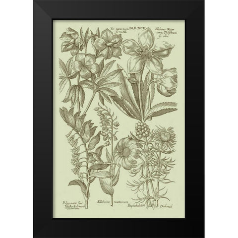 Garden of Flora III Black Modern Wood Framed Art Print by Vision Studio