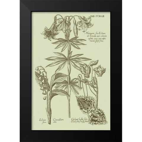 Garden of Flora IV Black Modern Wood Framed Art Print by Vision Studio