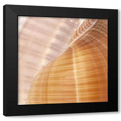 Organic Elements III Black Modern Wood Framed Art Print with Double Matting by Vision Studio