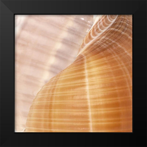 Organic Elements III Black Modern Wood Framed Art Print by Vision Studio