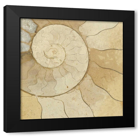 Organic Elements V Black Modern Wood Framed Art Print with Double Matting by Vision Studio
