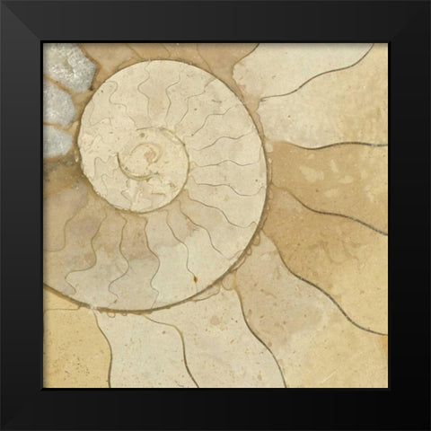 Organic Elements V Black Modern Wood Framed Art Print by Vision Studio