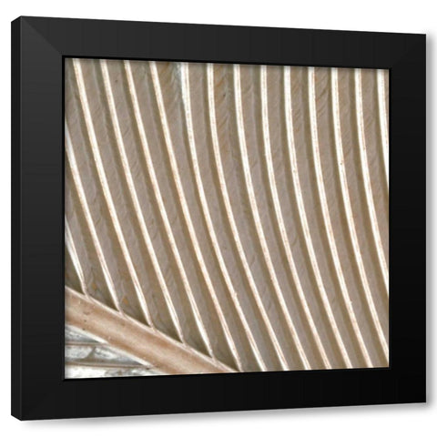 Organic Elements VIII Black Modern Wood Framed Art Print with Double Matting by Vision Studio