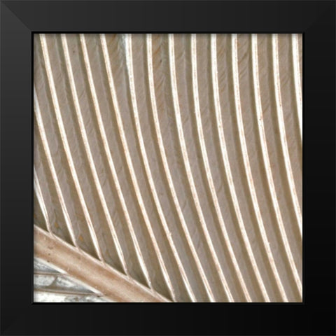 Organic Elements VIII Black Modern Wood Framed Art Print by Vision Studio