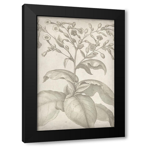 Classic Romance I Black Modern Wood Framed Art Print by Vision Studio