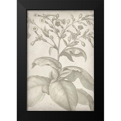 Classic Romance I Black Modern Wood Framed Art Print by Vision Studio
