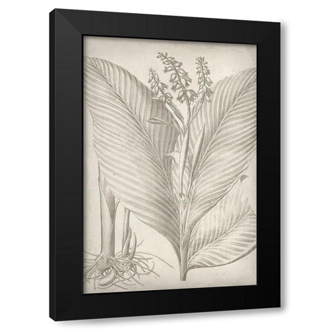 Classic Romance II Black Modern Wood Framed Art Print with Double Matting by Vision Studio