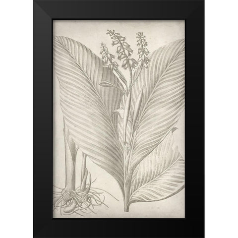 Classic Romance II Black Modern Wood Framed Art Print by Vision Studio
