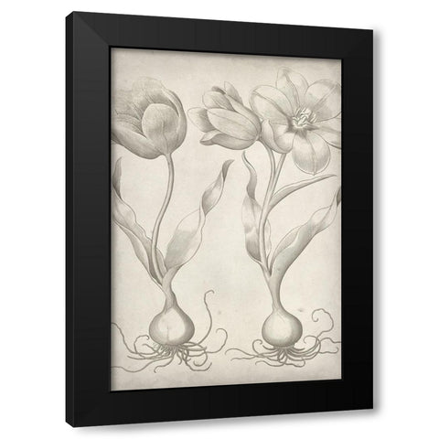Classic Romance III Black Modern Wood Framed Art Print with Double Matting by Vision Studio