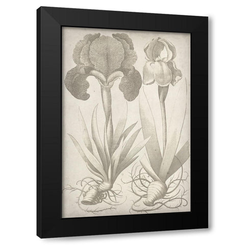 Classic Romance IV Black Modern Wood Framed Art Print with Double Matting by Vision Studio