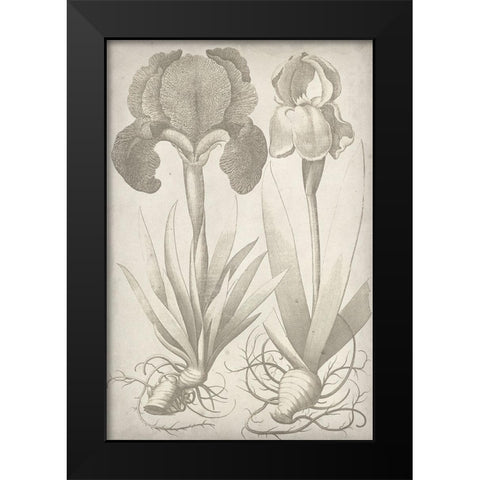 Classic Romance IV Black Modern Wood Framed Art Print by Vision Studio