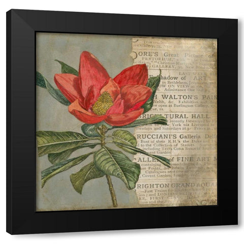 Vintage Fleur Rouge I Black Modern Wood Framed Art Print by Meagher, Megan