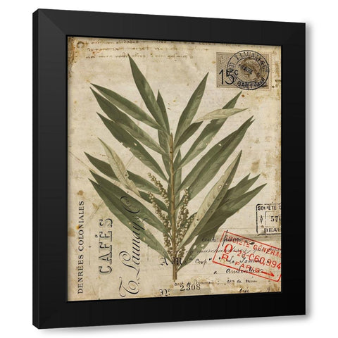 Vintage Natures Greenery I Black Modern Wood Framed Art Print by Vision Studio