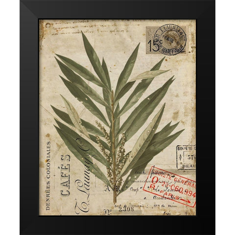 Vintage Natures Greenery I Black Modern Wood Framed Art Print by Vision Studio