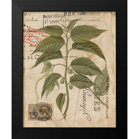Vintage Natures Greenery II Black Modern Wood Framed Art Print by Vision Studio