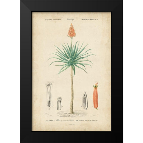 Tropical Botanique II Black Modern Wood Framed Art Print by Vision Studio