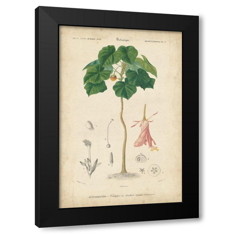 Tropical Botanique V Black Modern Wood Framed Art Print by Vision Studio