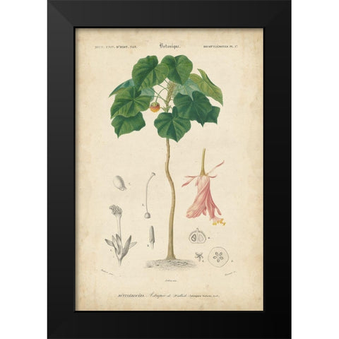 Tropical Botanique V Black Modern Wood Framed Art Print by Vision Studio