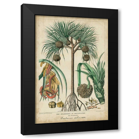 Palma Exotica I Black Modern Wood Framed Art Print with Double Matting by Vision Studio