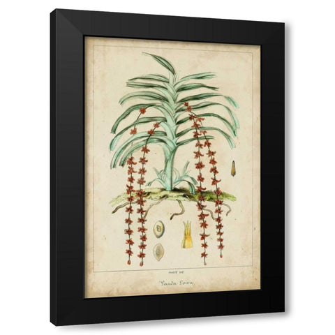Palma Exotica IV Black Modern Wood Framed Art Print by Vision Studio
