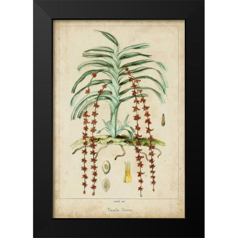 Palma Exotica IV Black Modern Wood Framed Art Print by Vision Studio