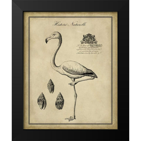 Antiquarian Flamingo Black Modern Wood Framed Art Print by Vision Studio