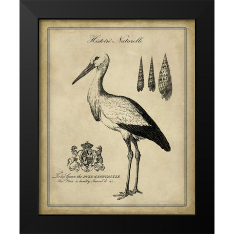 Antiquarian Stork Black Modern Wood Framed Art Print by Vision Studio