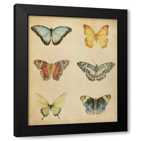 Butterfly Varietal I Black Modern Wood Framed Art Print with Double Matting by Meagher, Megan