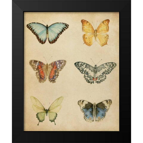 Butterfly Varietal I Black Modern Wood Framed Art Print by Meagher, Megan