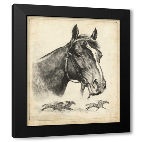 Gallant Fox Black Modern Wood Framed Art Print with Double Matting by Palenske, R.H.