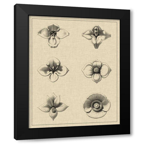 Floral Rosette IV Black Modern Wood Framed Art Print by Vision Studio