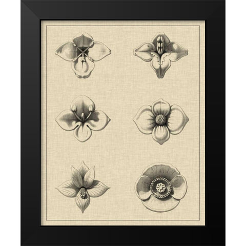 Floral Rosette IV Black Modern Wood Framed Art Print by Vision Studio