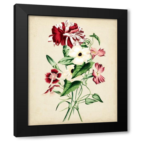 Natures Romance VI Black Modern Wood Framed Art Print with Double Matting by Vision Studio