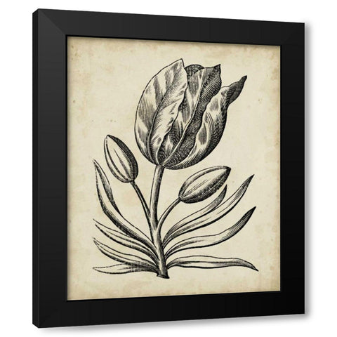 Distinguished Floral I Black Modern Wood Framed Art Print with Double Matting by Vision Studio
