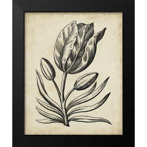 Distinguished Floral I Black Modern Wood Framed Art Print by Vision Studio