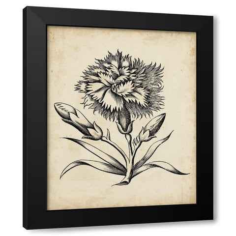 Distinguished Floral III Black Modern Wood Framed Art Print with Double Matting by Vision Studio