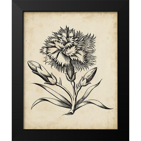 Distinguished Floral III Black Modern Wood Framed Art Print by Vision Studio