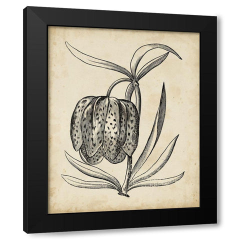 Distinguished Floral IV Black Modern Wood Framed Art Print with Double Matting by Vision Studio