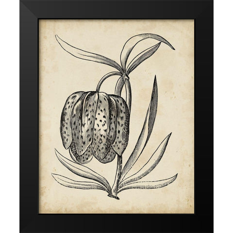 Distinguished Floral IV Black Modern Wood Framed Art Print by Vision Studio