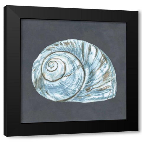 Shell on Slate VIII Black Modern Wood Framed Art Print by Meagher, Megan
