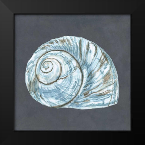 Shell on Slate VIII Black Modern Wood Framed Art Print by Meagher, Megan