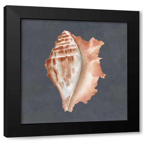Shell on Slate IX Black Modern Wood Framed Art Print by Meagher, Megan